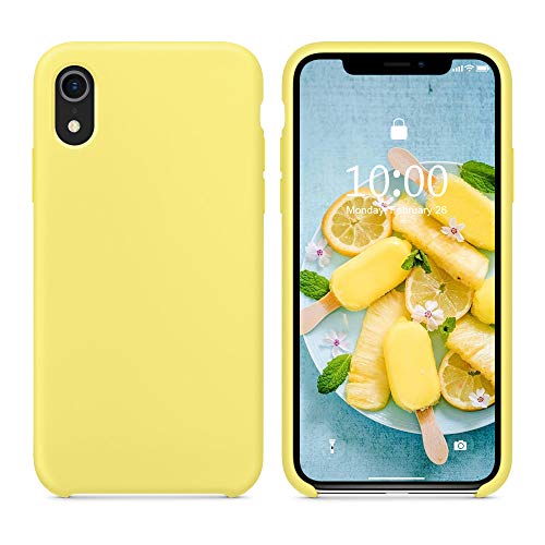 Surphy Cover Compatibile Con Iphone Xr, Custodia Per Iphone Xr Silicone Slim Cover Antiurto Con Fodera In Microfibra, Anti-Graffio Cover Case Per Ipho