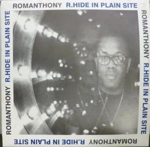 R.Hide In Plain Site