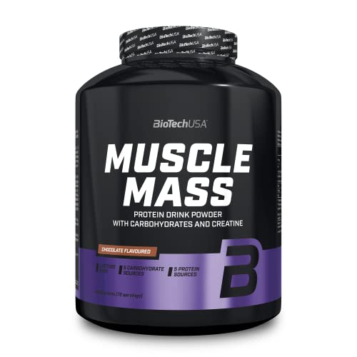 Biotechusa Muscle Mass | Proteine E Carboidrati In Polvere | Con Peptidi Di Creatina E Glutammina | Guadagno | Senza Lattosio | Creatina Micronizzata