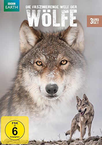Die Faszinierende Welt Der Wölfe