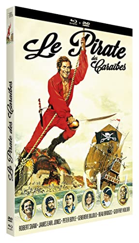 Le Pirate Des Caraibes