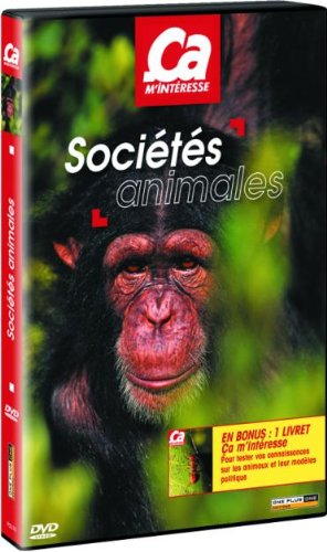 Ca M'Intéresse, Vol 9 : Société Animales
