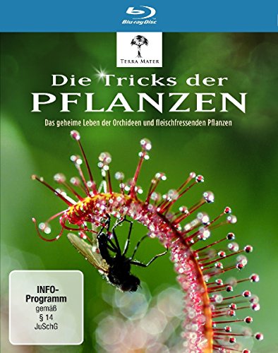Die Tricks Der Pflanzen