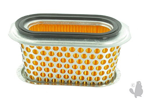 Greenstar 5566 - Filtro Aria Per Honda Gx160/F660, 123 X 70 X 60 Mm