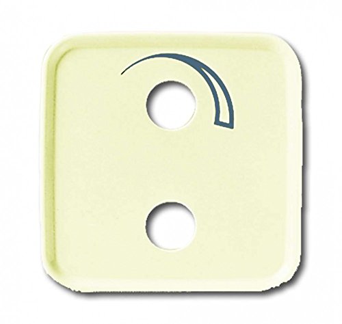 Busch-Jaeger, 2548-212-53 B, Piastra Di Copertura