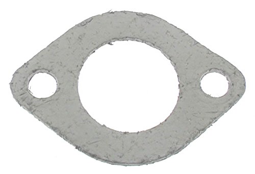 Greenstar 22893 - Guarnizione Di Scarico