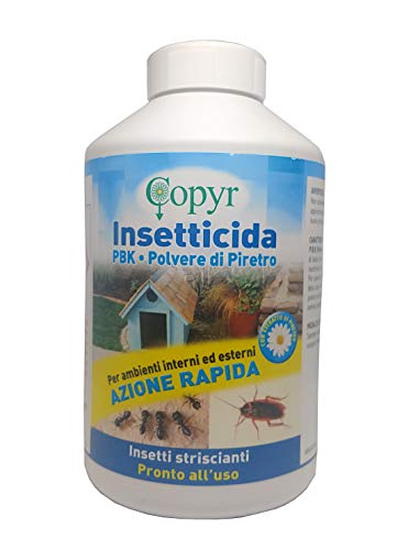 Copyr | Insetticida P.B.K Polvere Di Piretro Ad Azione Rapida Per La Casa E Il Giardino Contro Insetti Striscianti Scarafaggi E Formiche - In Polvere