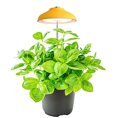Egle Lampada Per Piante - Luce Led Crescita Piante Da Interno - Lampada Led Spettro Completo Con Altezza Regolabile E Timer Automatico (5W, 3500K, 240