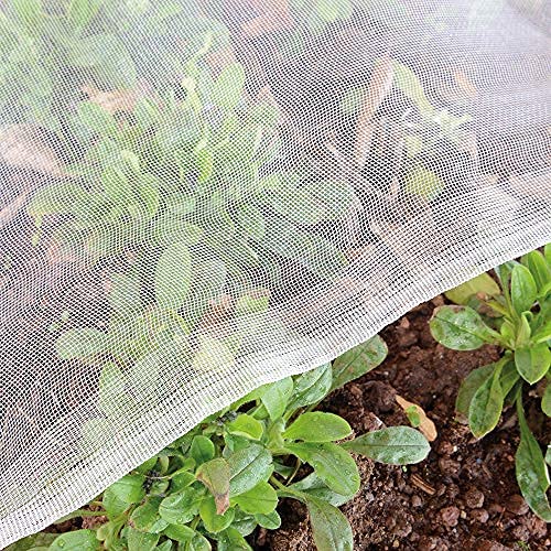 Garden Tailor 3Mx5M Rete Per Insetti, Rete Da Giardino A Maglia Fine, Rete Per La Protezione Delle Verdure, Rete Per La Protezione Degli Insetti Per P