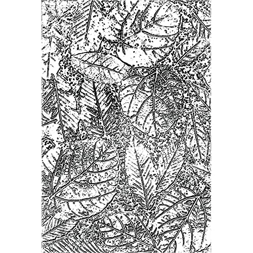 Sizzix 3—D Texture Fades Embossing Folder Foliage Di Tim Holtz, 665252, Plastica Pp, Multicolour, Taglia Unica
