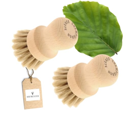 Hofmeister® - 2 Spazzole Per Funghi, Per La Pulizia Delicata Di Funghi O Verdure, In Morbido Crine Di Cavallo E Legno Di Faggio