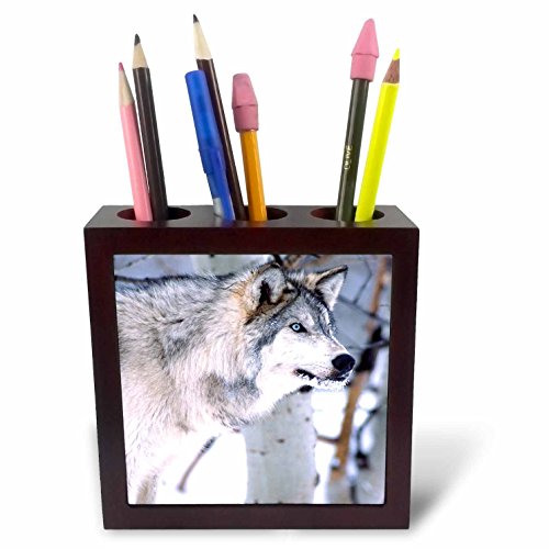 3Drose Timber Wolf, Canis Lupus – Na02 Dno0318 – David Northcott – Tile Pen Holder, 12,7 Cm (Ph 83898 _ 1)