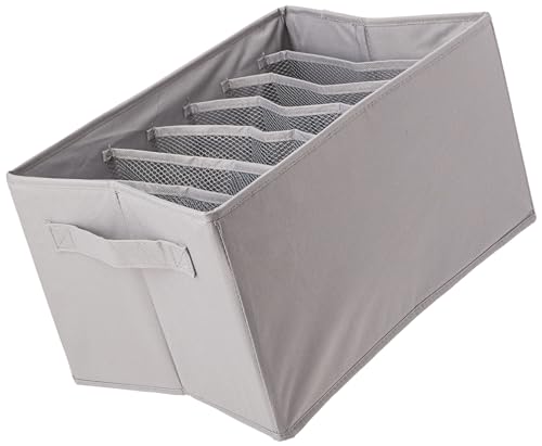 Amazon Basics - Organizer Per Cassettiera, Per Reggiseni E Biancheria Intima, Confezione Da 2, Grigio