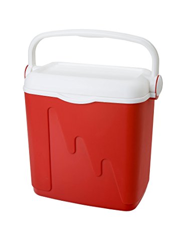 Curver Nevera 20L Roja Frigo, Plastica Ad Alta Resistenza, Rosso, 20 L