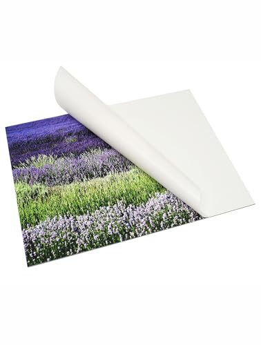 Deknudt S43Sdi Photo Frame Metallo Frames 10 X 46 Cm