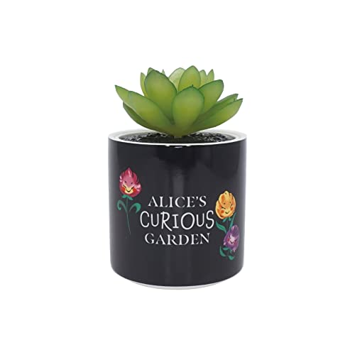 Disney Vaso Per Piante, In Gres, Nero, 150 Ml