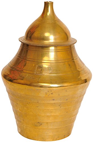 Exotic India Zcd12 Acqua Irrigatore