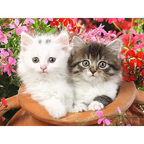 Kit Punto Croce Per Bambini Fai Da Te 5D Diamond Painting Kit, Pittura Con I Numeri,Diamond Painting Gatto Bianco E Tempio Di Gatto Colorato, Ricamo P