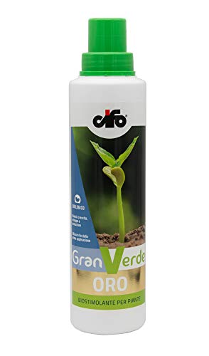 Cifo Granverde Oro