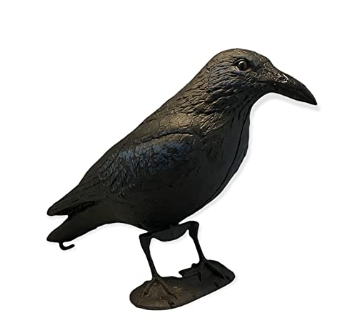 Gmm Corvo Nero Gigante Realistico, 43Cm, Scaccia Piccioni, Spaventapasseri Da Giardino, Spaventa Piccioni, Repellente Piccioni, Repellente X Uccelli,