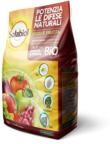 Solabiol Zeolite Polvere Di Roccia, Potenziatore Delle Difese Dagli Insetti Delle Piante, Bianco, 1 Kg
