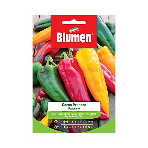 Semi Peperone Corno Precoce Blumen Sementi Orto