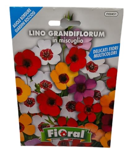 Semi Fiori Lino Grandiflorum Miscuglio Seme Fiore Estivo Seeds Semillas Graines