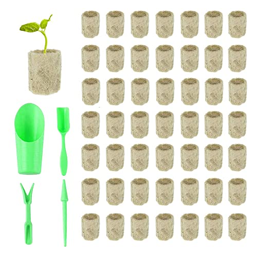 50 Pcs,Cubi Di Lana Di Roccia,Giardinaggio Lana Di Roccia,Roccia Lana Cubi ,Tappo In Lana Di Roccia Cilindrico,Con 4 Pezzi Di Attrezzi Per Il Trapiant