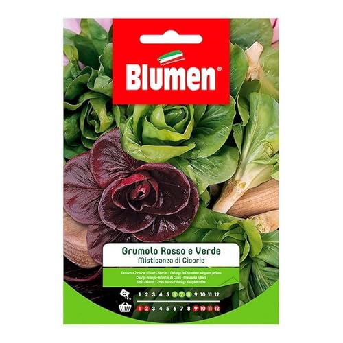 Semi Misticanza Di Cicorie Grumolo Rosso E Verde Blumen Sementi Orto