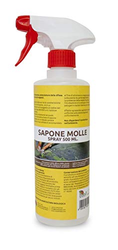 Bio A.L.T Sapone Molle Di Potassio Insetticida Naturale Corroborante Potenzia Le Difese Naturali Delle Piante Contro Afidi Acari Cocciniglia Per Orto