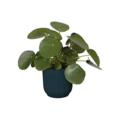 Elho Vibes Fold Round 14 - Vaso - Deep Blue - Interno - Ø 14.125 X H 12.936 - Creato Con La Natura In Mente
