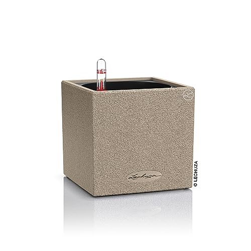 Lechuza Canto Stone 14 Beige Sabbia 13471