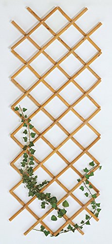 Verdelook Traliccio Estensibile In Bamboo, 90X180 Cm, Ideale Per Decorazione Esterni