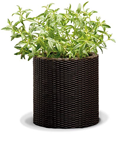 Curver Vaso Da Fiori Medio Rattan