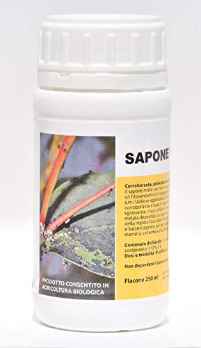 Bio A.L.T Sapone Molle Di Potassio Naturale Corroborante Potenzia Le Difese Naturali Delle Piante Contro Afidi Acari Cocciniglia Per Orto Fiori Rose P