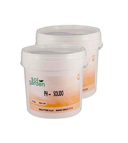 10Kg Ph Minus Correttore Regolatore Riduttore Del Ph X Acqua Piscina Ph- (Ph Meno) Granulare