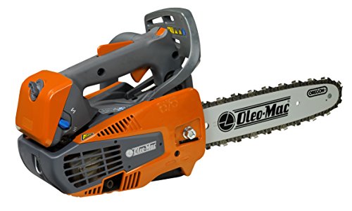 Oleomac 50299001E2 Gst 250 Motosega, Arancio