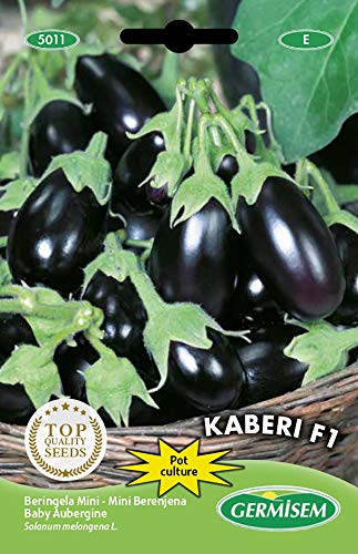 Germisem Mini Kaberi F1 Melanzana 10 Semi