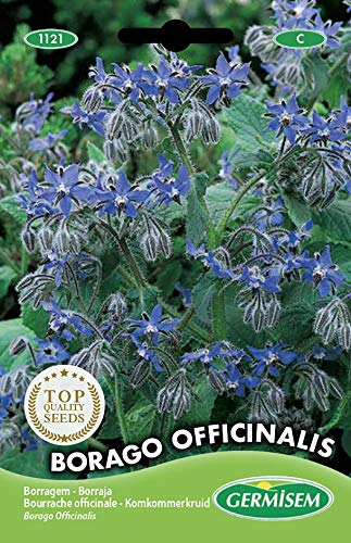 Germisem Borago Officinalis Semi Di Borragine 2 G