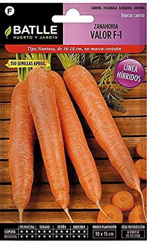 Semillas Batlle – Semi Di Carota