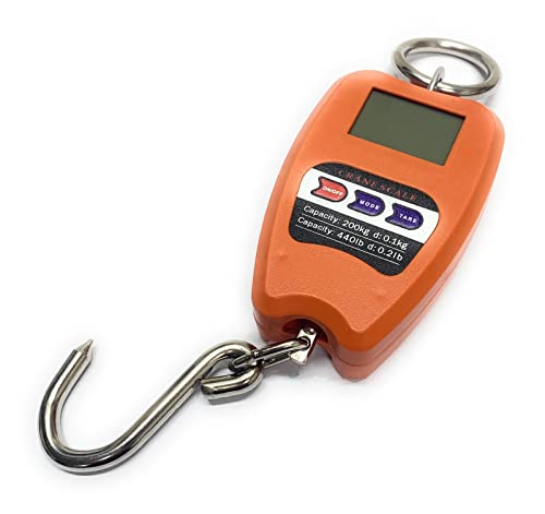 Tempo Di Saldi Bilancia Professionale Digitale Industriale Gancio Dinamometro Molla Max 200 Kg