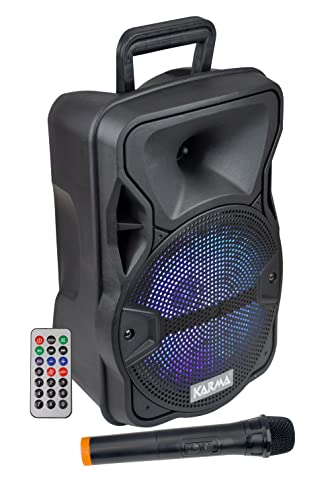 Diffusore Amplificato Con Radiomicrofono 300W Pmpo