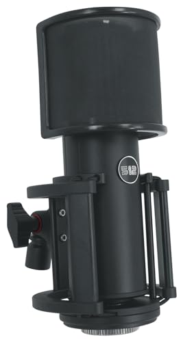 512 Audio Skylight Large Diaphragm Condenser Xlr Microphone For Podcasts, Streaming And Vocal Recordings, 512-Slt