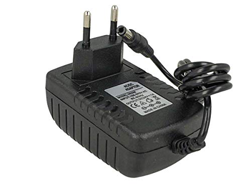 Trasformatore Alimentatore 24V 1A 24W, Con Spina Eu, Trasforma Da 220V A Dc 24V, Colore Nero (24W 24V 1A)
