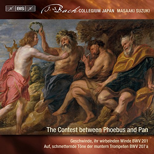 Secular Cantatas Vol.9
