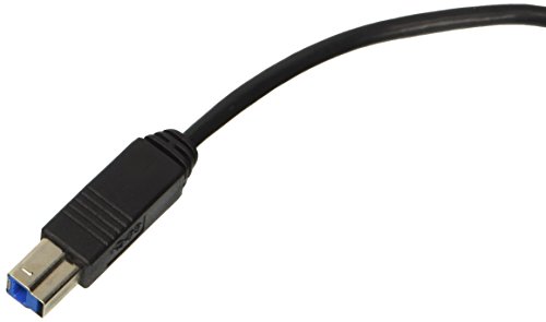 Hamlet Cavo Type C To Usb 3.0 Tipo B Maschio 1