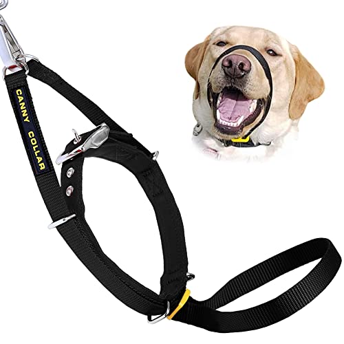 Canny Collar - Il Collare Da Addestramento E Da Passeggio Per Cani, Un Aiuto Semplice Ed Efficace Per L'Addestramento Del Cane E Aiuta A Prevenire Che