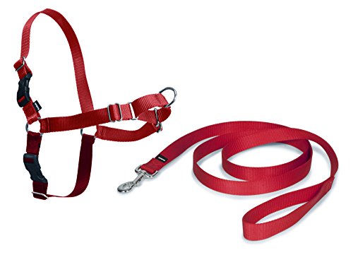 Petsafe Easy Walk, Pettorina Per Cani, Pettorina Anti-Tiro Per Cani, Per L'Addestramento Con Guinzaglio E Pettorina, Impedisce Al Cane Di Tirare E Str