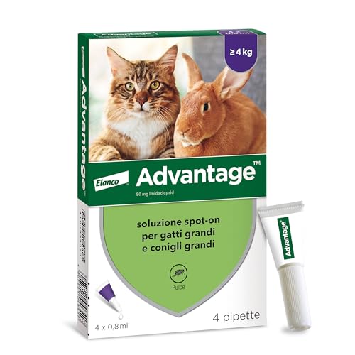 Advantage Spot-On Trattamento Antipulci Per Gatti Grandi E Conigli Grandi, 4 Pipette.