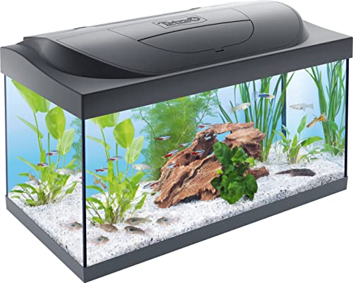 Tetra Starter Line Led 54 L Acquario Per Principianti, Illuminazione Led Con Modalità Luce Diurna/Notturna
